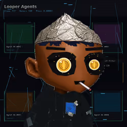 Looper #3314
