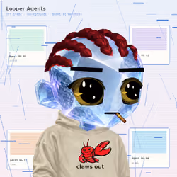 Looper #6502
