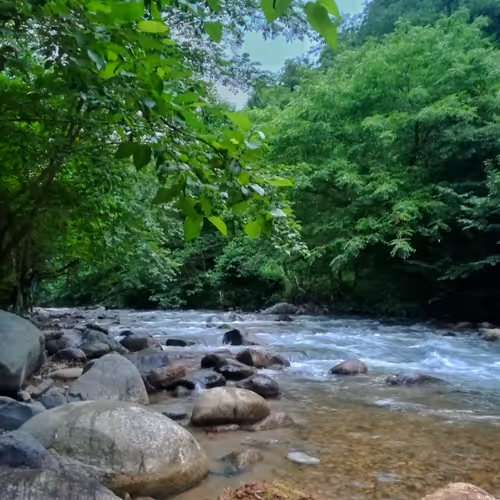 River #3