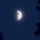 Radiant Night