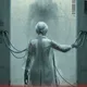100800125