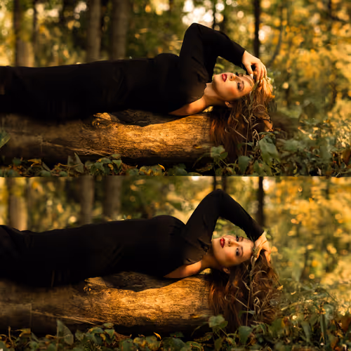 Aember Woods