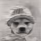 Blurred dog wif hat