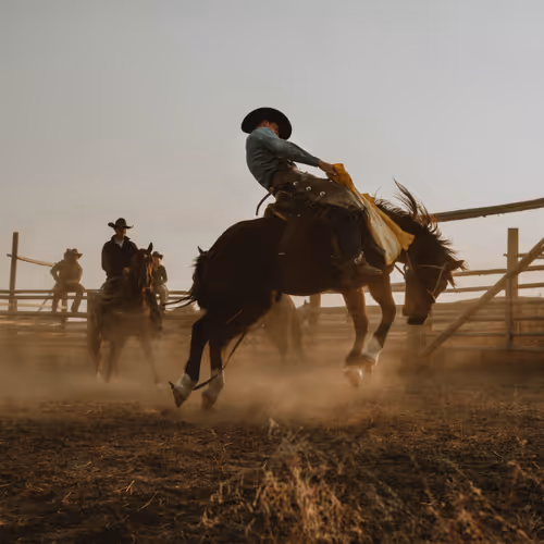 Rodeo posts