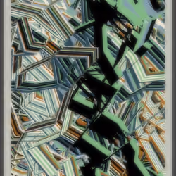 🅱🅰🆂🅴 🅽🆈🅼🅾🆁🅰 #241