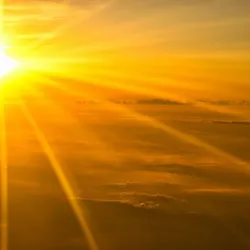 BASE SUNSHINE #383