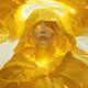 Whollly_Protector