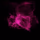 Aeon #11270