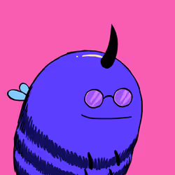 243