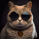 Trendi Cat BTC Fan