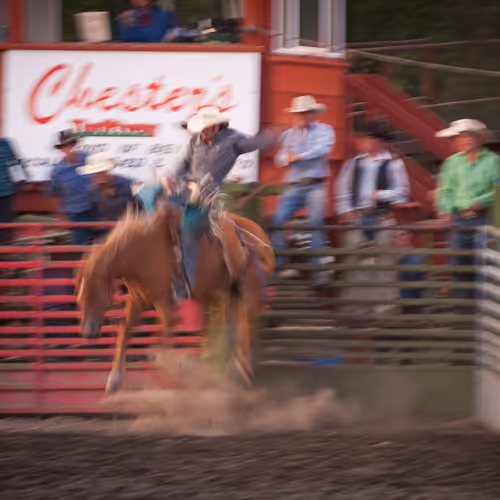 Rodeo Posts 1386 516138516