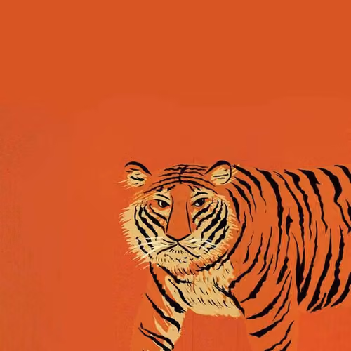 Tiger in shoes