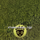 50