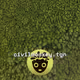 39