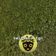 95
