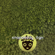 94