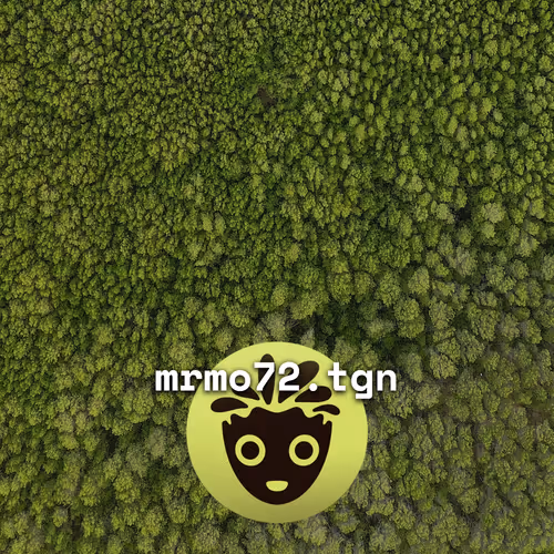 Item #30 Media