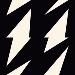 #31