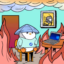 1557