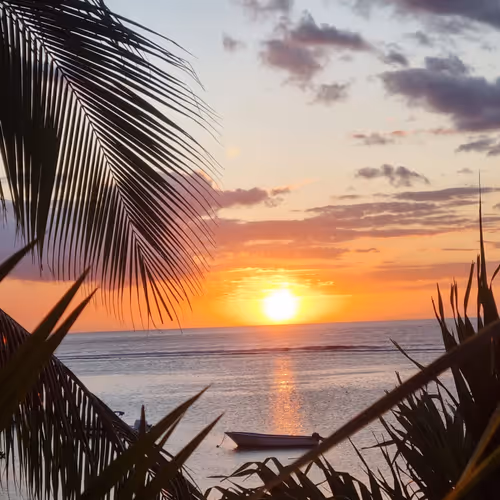sunset one 1