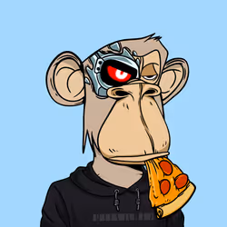 51