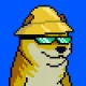 6295