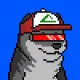 6884
