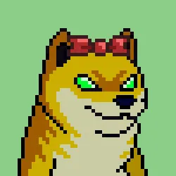 8088