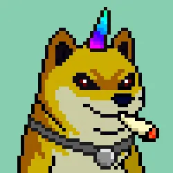 5556