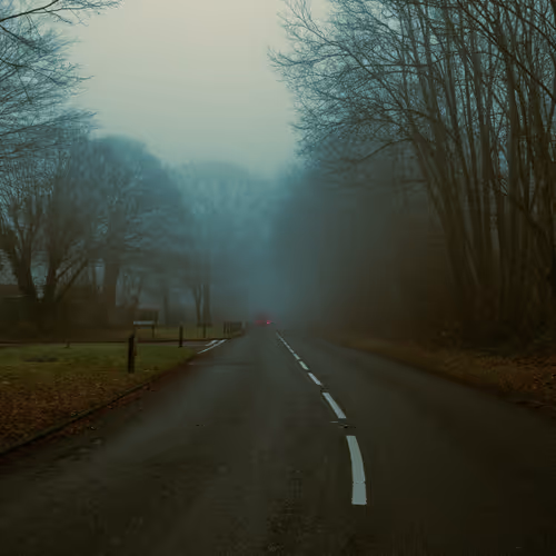 Cinematic Nature 1