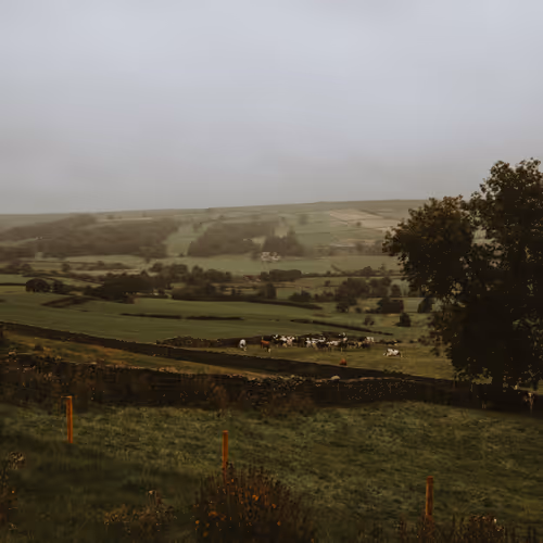 Cinematic Nature 1