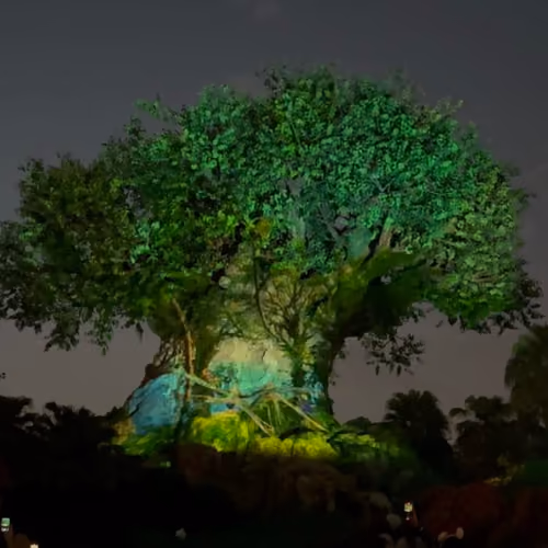 Tree - Tree