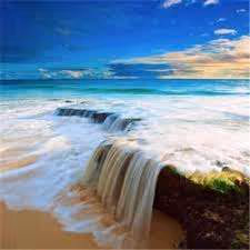 TatumMacias - Member