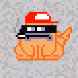 455