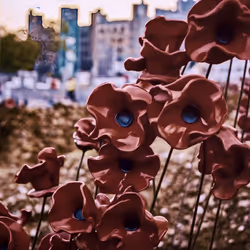 35