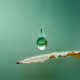 Extreme macro photography