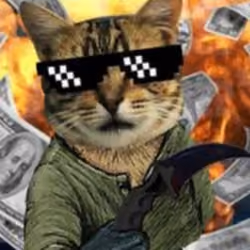 catsNFT123