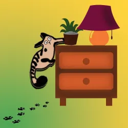 Mischievous Cat