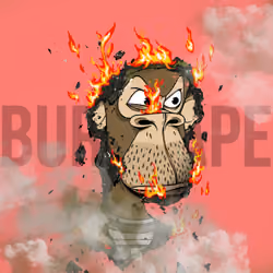Burnt Ape #210