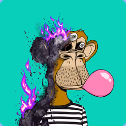 Burnt Ape #3444