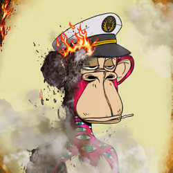 Burnt Ape #3627