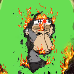 Burnt Ape #1744