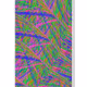 365