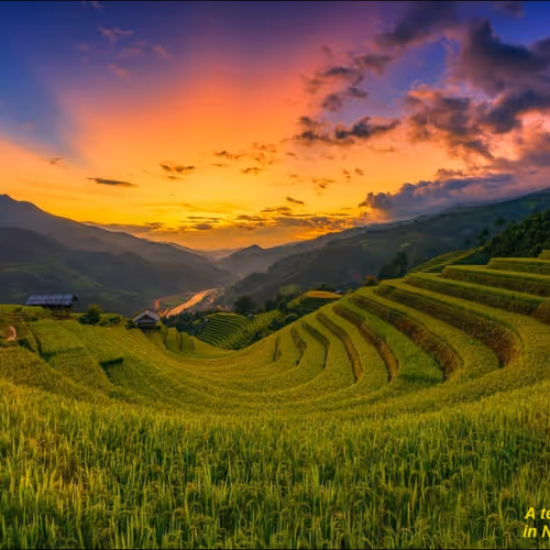Vietnam