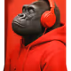 Gorilla in red