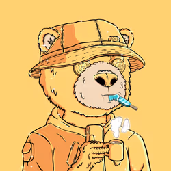Gold Bear Official #380