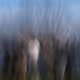 4448 Digital Art - Rodeo posts