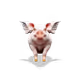 1