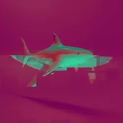 Rave Shark 018