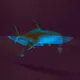Rave Sharks